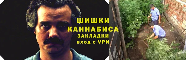 винт Богданович