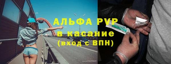 винт Богданович