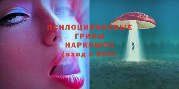 винт Богданович