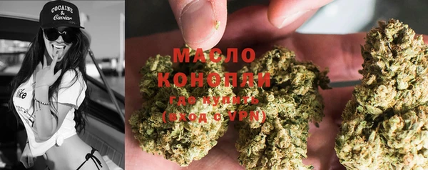 винт Богданович