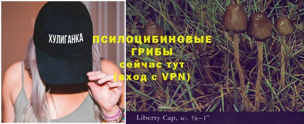 винт Богданович