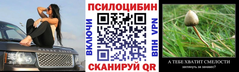 Купить  Новохопёрск  Галлюциногенные грибы мицелий 